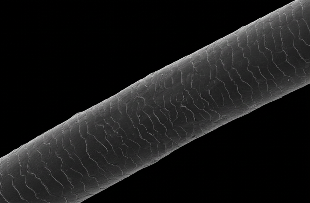 Magnified full-cuticle Remy hair texture